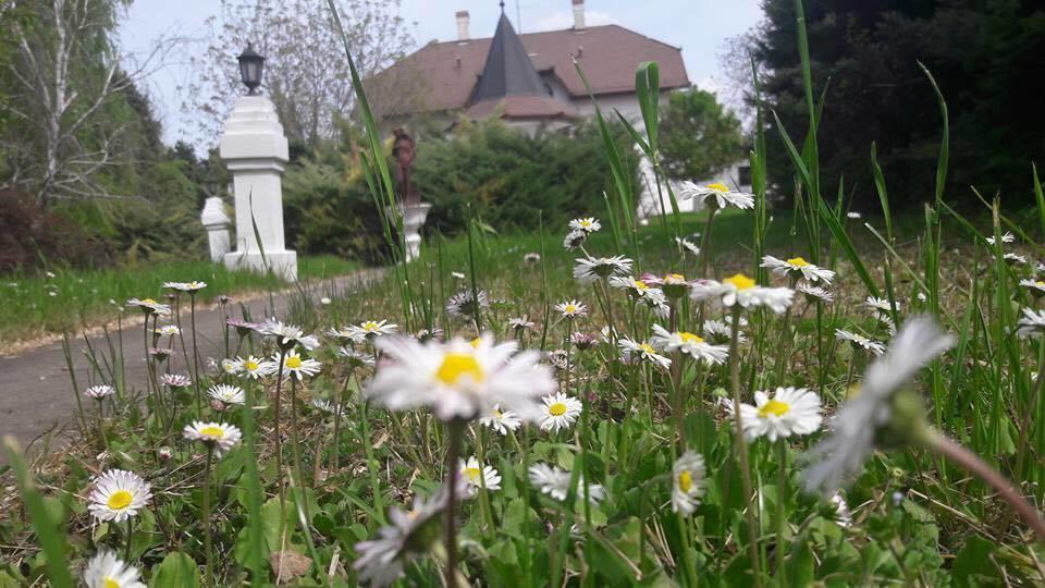 B&B Villa Pipacs Feketić Exterior foto