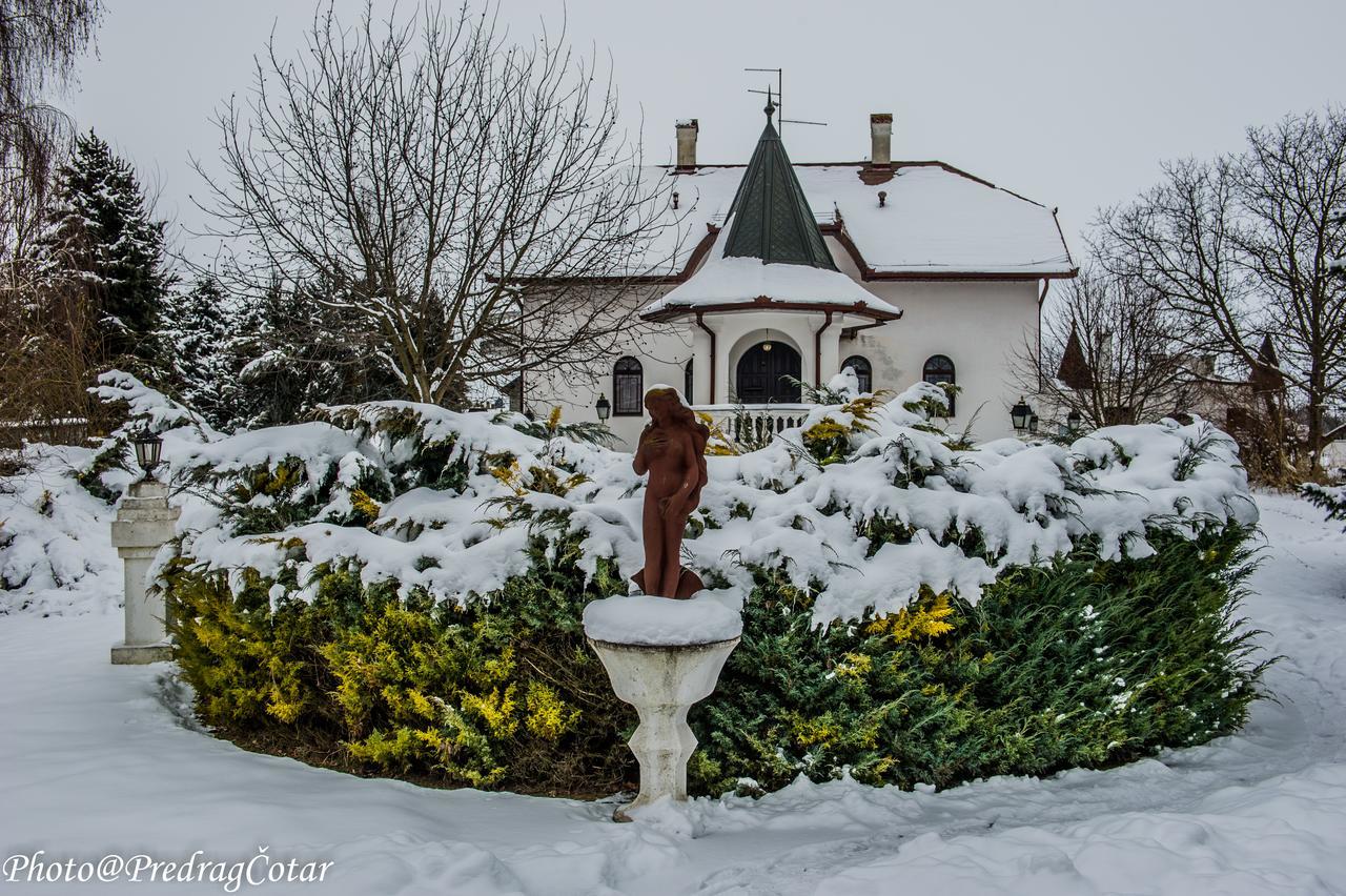 B&B Villa Pipacs Feketić Exterior foto